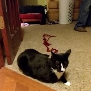 Meet your Posher, Drew